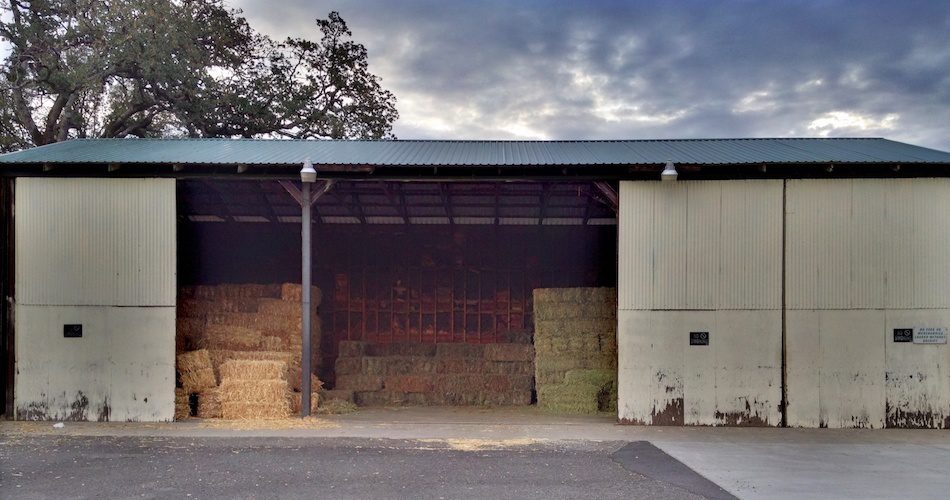 Hay Shavings - Palo Cedro Feed