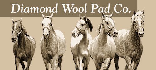 Diamond Wool Pad Company