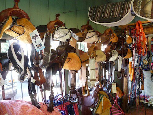 Saddles, Reins & More - Palo Cedro Feed