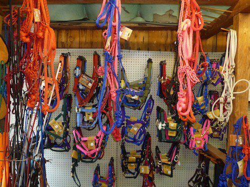 Saddles, Reins & More - Palo Cedro Feed